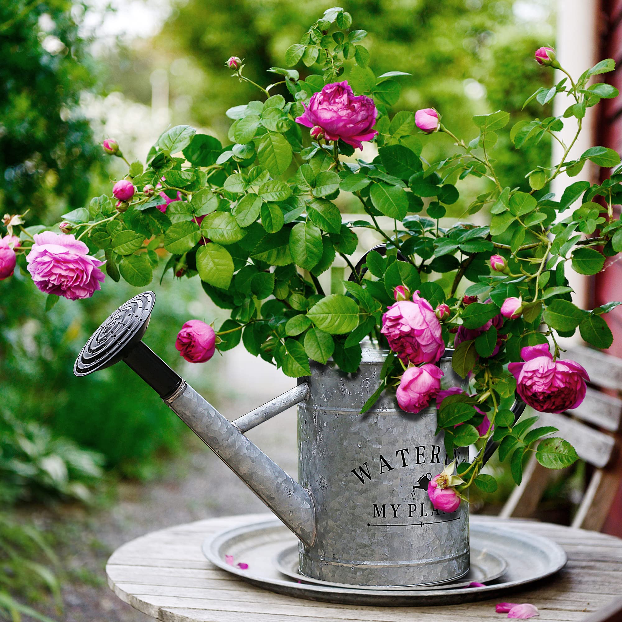 Garutom ergonomic dual-handle design simplifies indoor plant care.