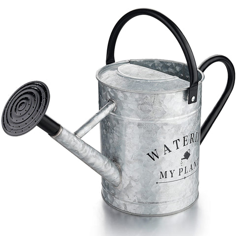 Garutom galvanized watering can with 1 gallon capacity for indoor and outdoor use.