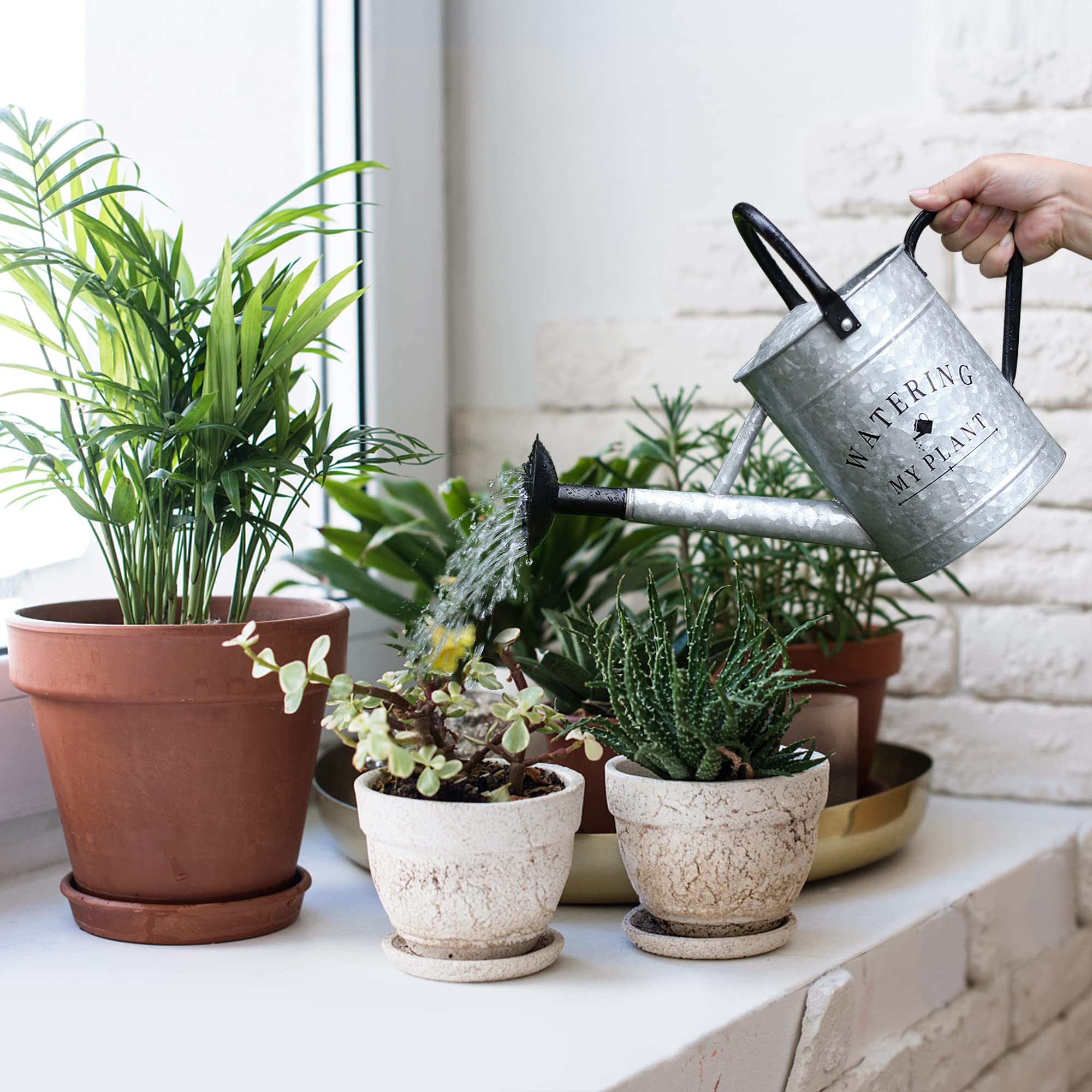 Garutom watering can featuring detachable nozzle for precise watering.