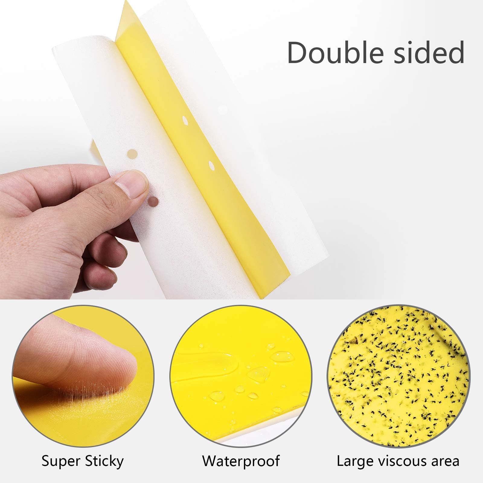 Garutom yellow sticky trap for aphids attracts them reducing infestation risk on houseplants