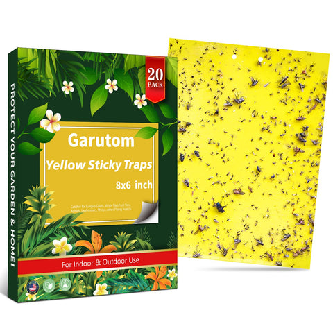 Garutom yellow sticky trap for fungus gnats captures pests on indoor plants