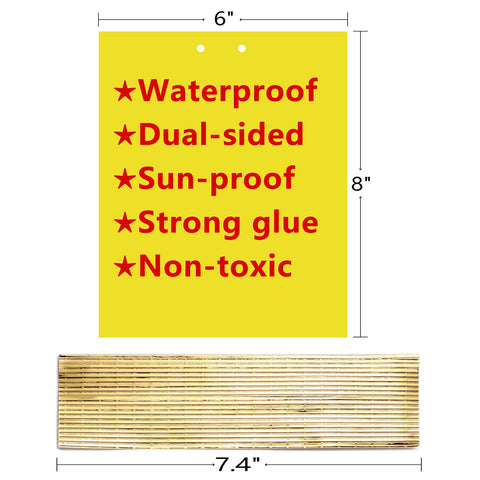 Garutom non toxic trap preserves plant safety while reducing chemical reliance