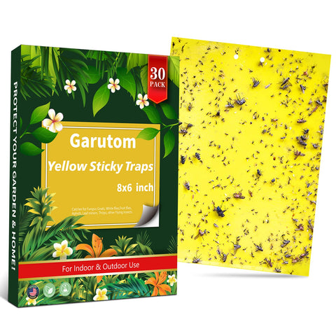 Garutom yellow sticky traps, 6x8 inch pack, front view captures flying pests indoors.