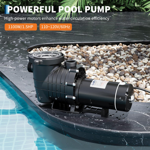 Garvee 1.5 HP pool pump side view highlights rugged stainless housing and versatile connections.