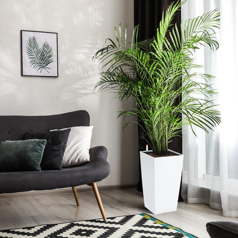 Garvee planters are easy to care for and set up.