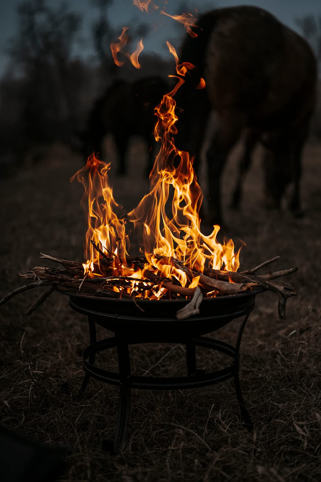 21.5-inch bowl diameter of Gas One fire pit