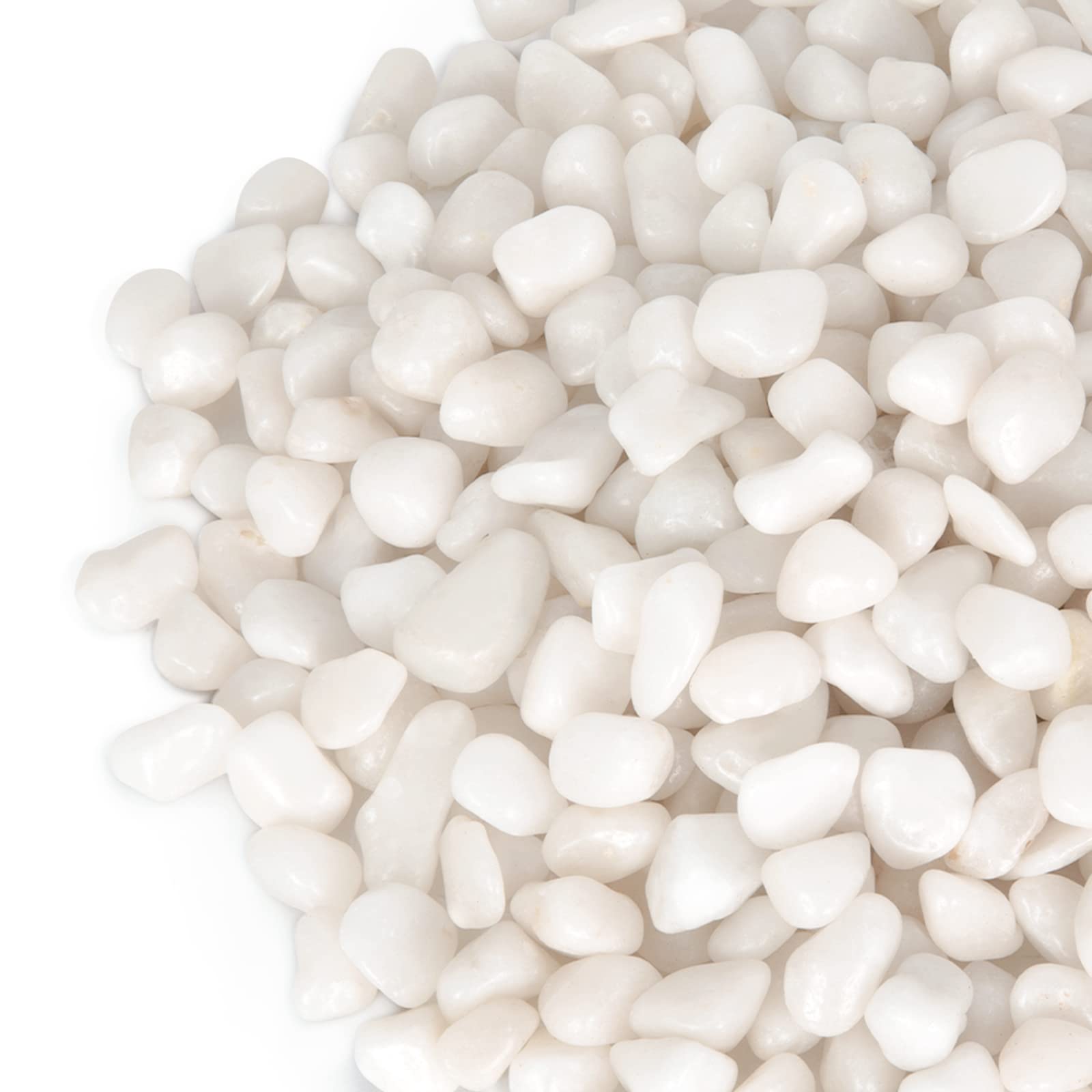 GASPRO 5lb polished white pebbles close-up showing glossy finish for plant decor