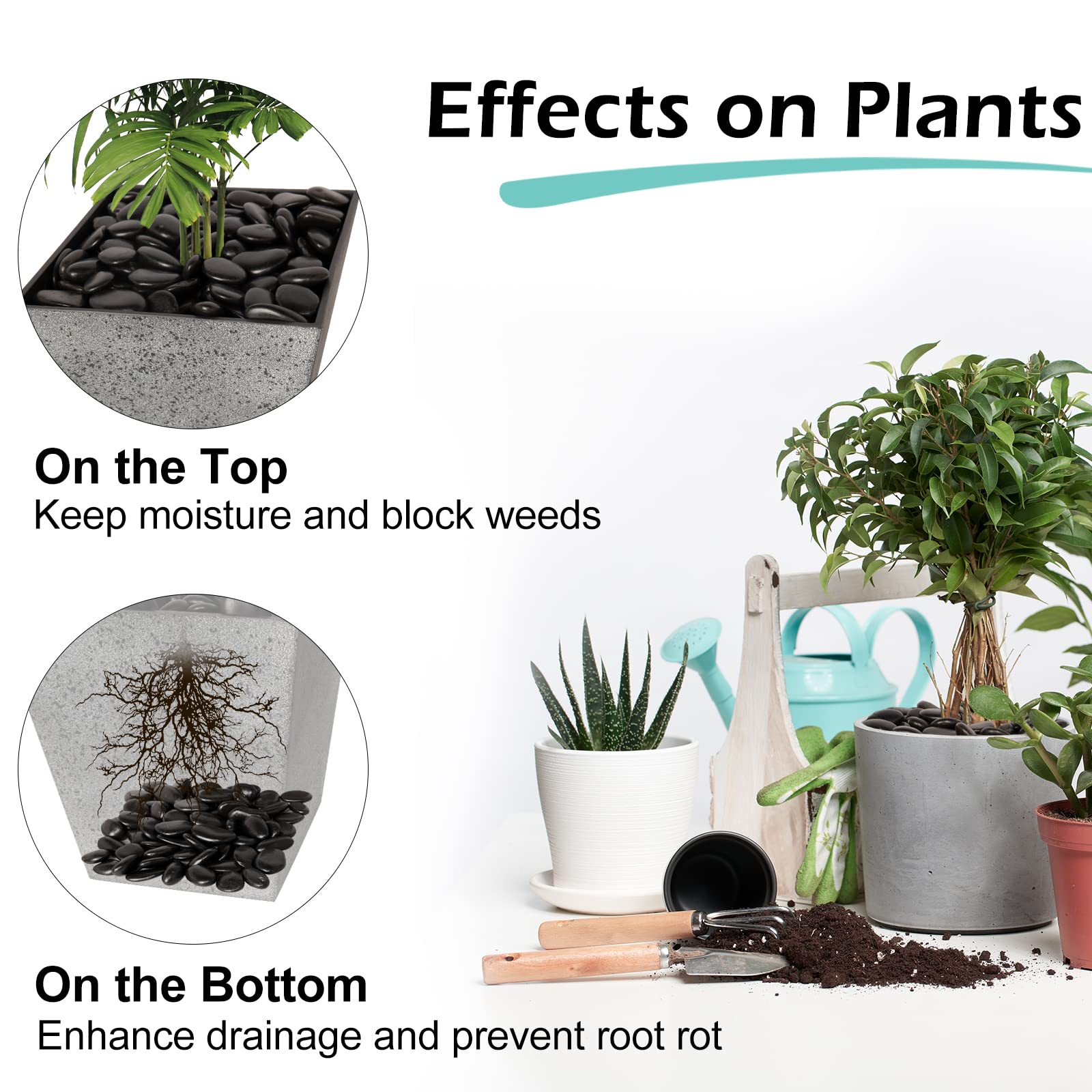 GASPRO black river rocks decorative stones for garden decor elevate indoor and outdoor spaces.