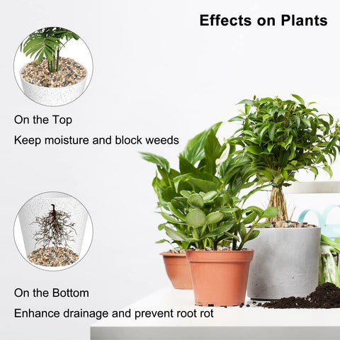 Gaspro color-mixed polished pebbles brighten home decor and plant displays