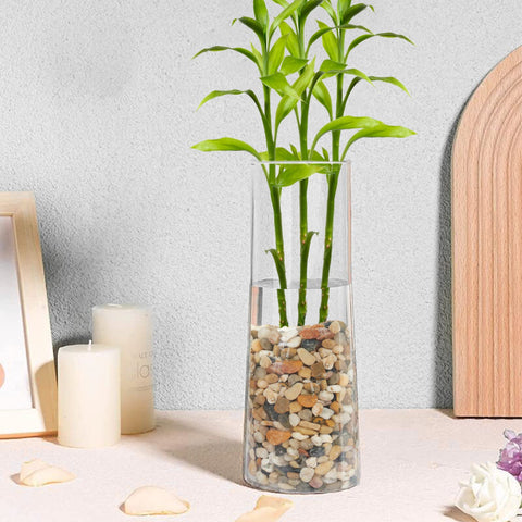 Gaspro pebbles improve drainage while preserving soil moisture around plants