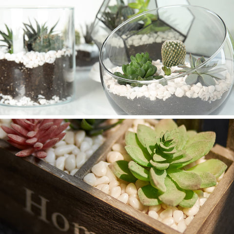 GASPRO eco-friendly polished rocks pack for decor value