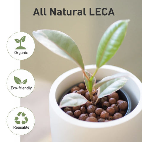 GasPro Leca porous structure aiding aeration and nutrient storage for roots