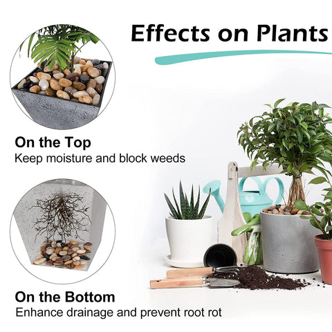 GasPro polished pebbles versatile use in landscaping pots and water features.