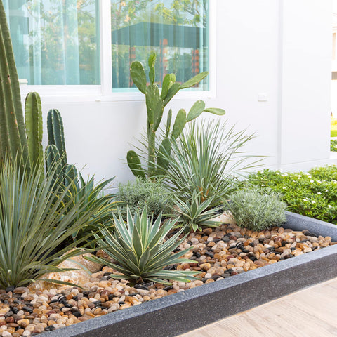 GasPro river rocks are a cost-efficient option in large packs for decorating.