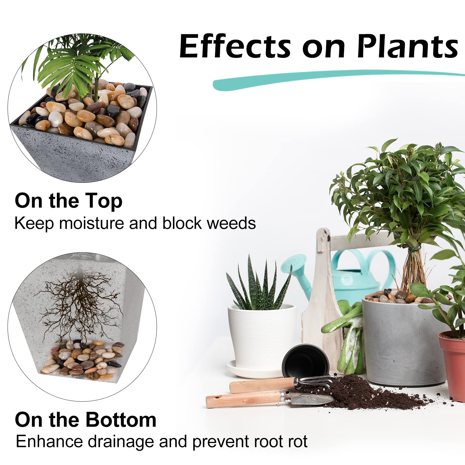 Gaspro pebbles improve drainage and soil coverage in beds.