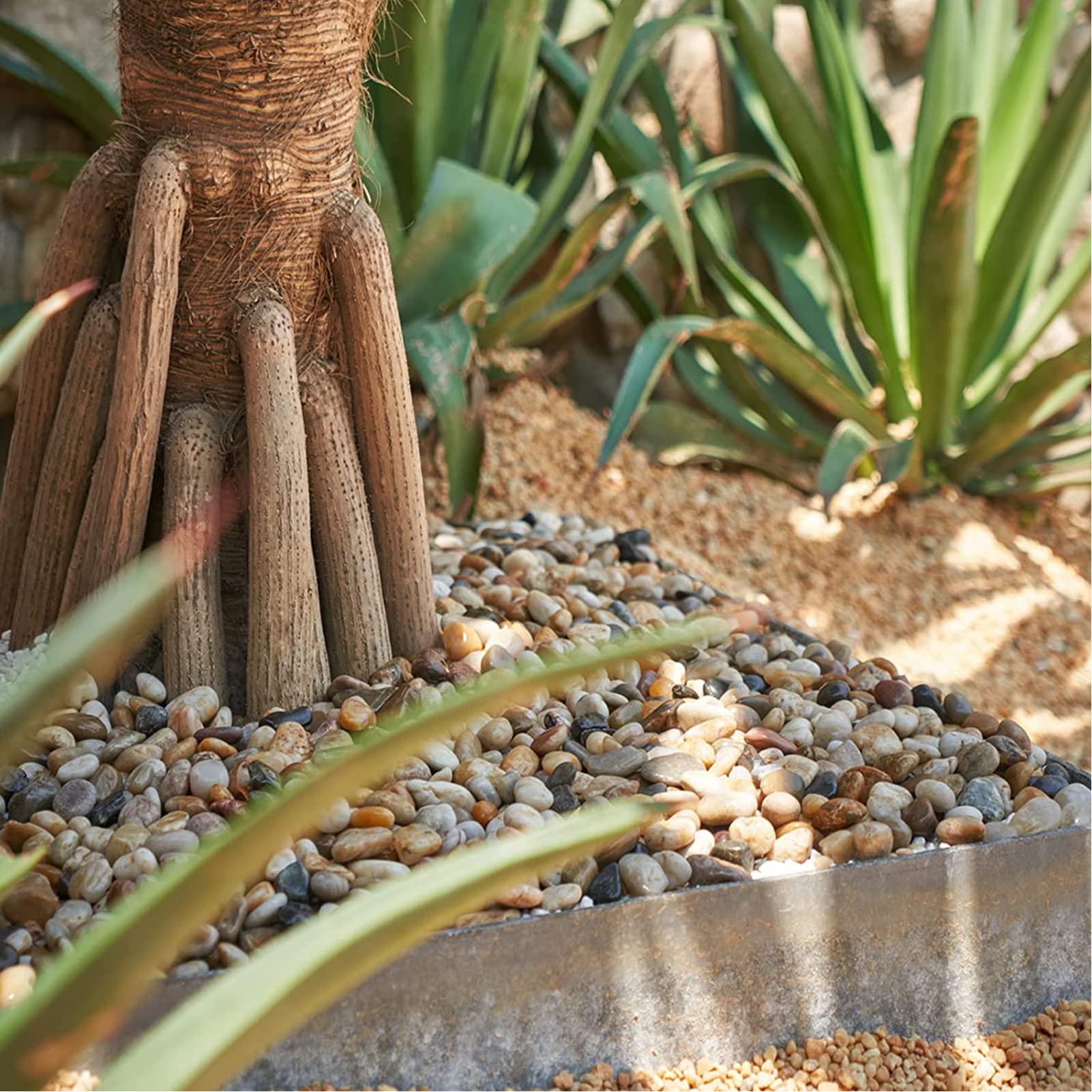 GasPro river rocks add colorful variety to planters and vases for visual depth.
