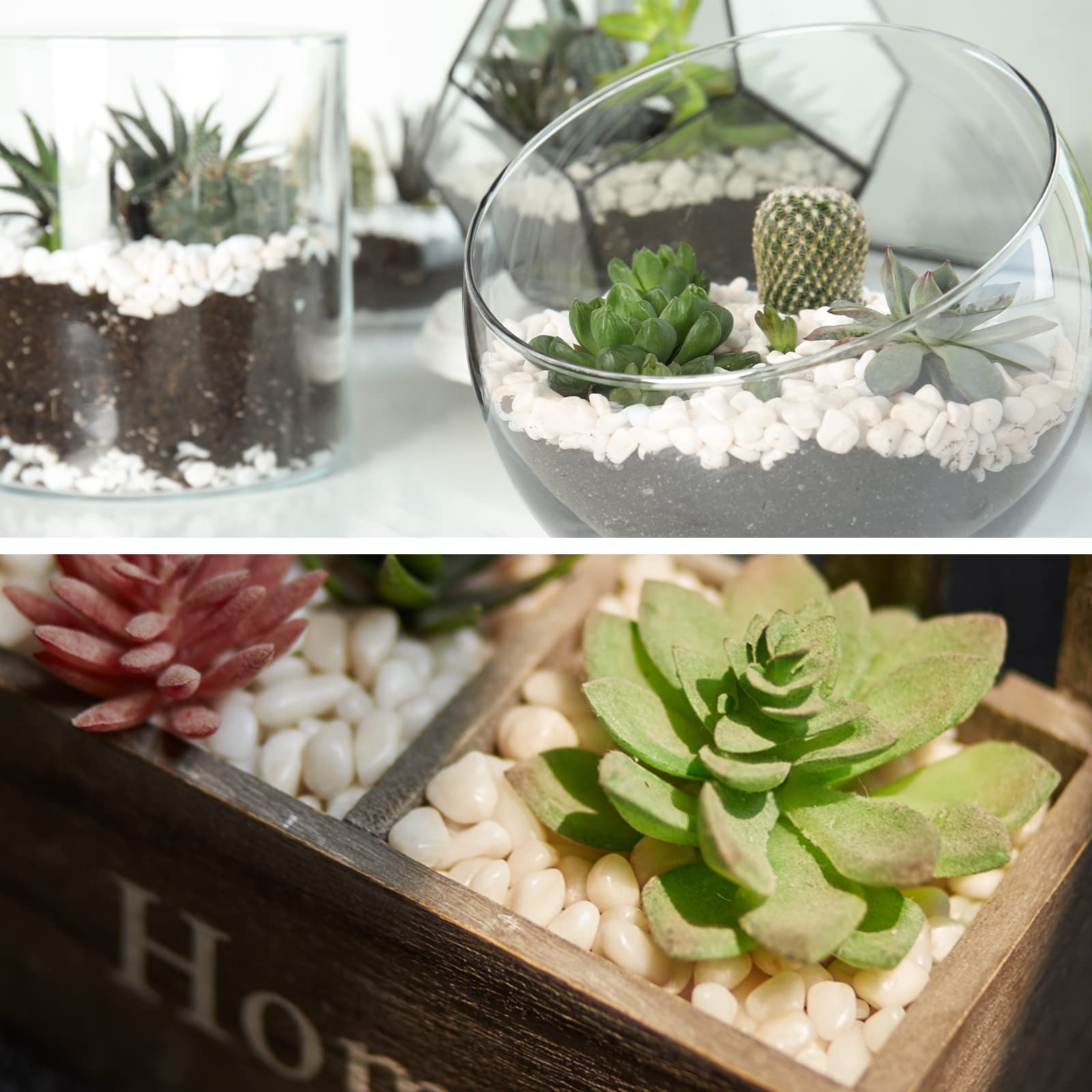 GASPRO 10 lb pack offers value with versatile decorative rocks