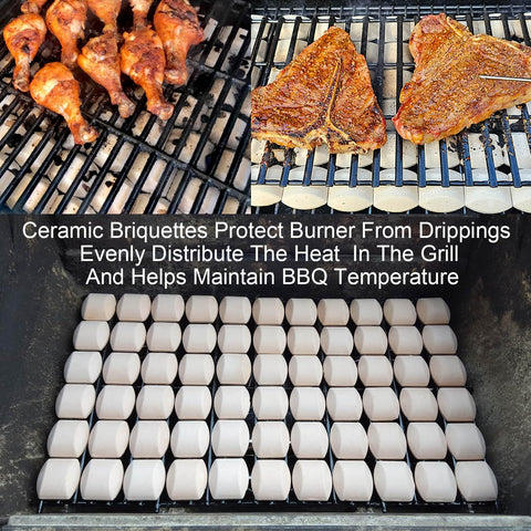 GasSaf brand logo with briquettes emphasizing reusable design.
