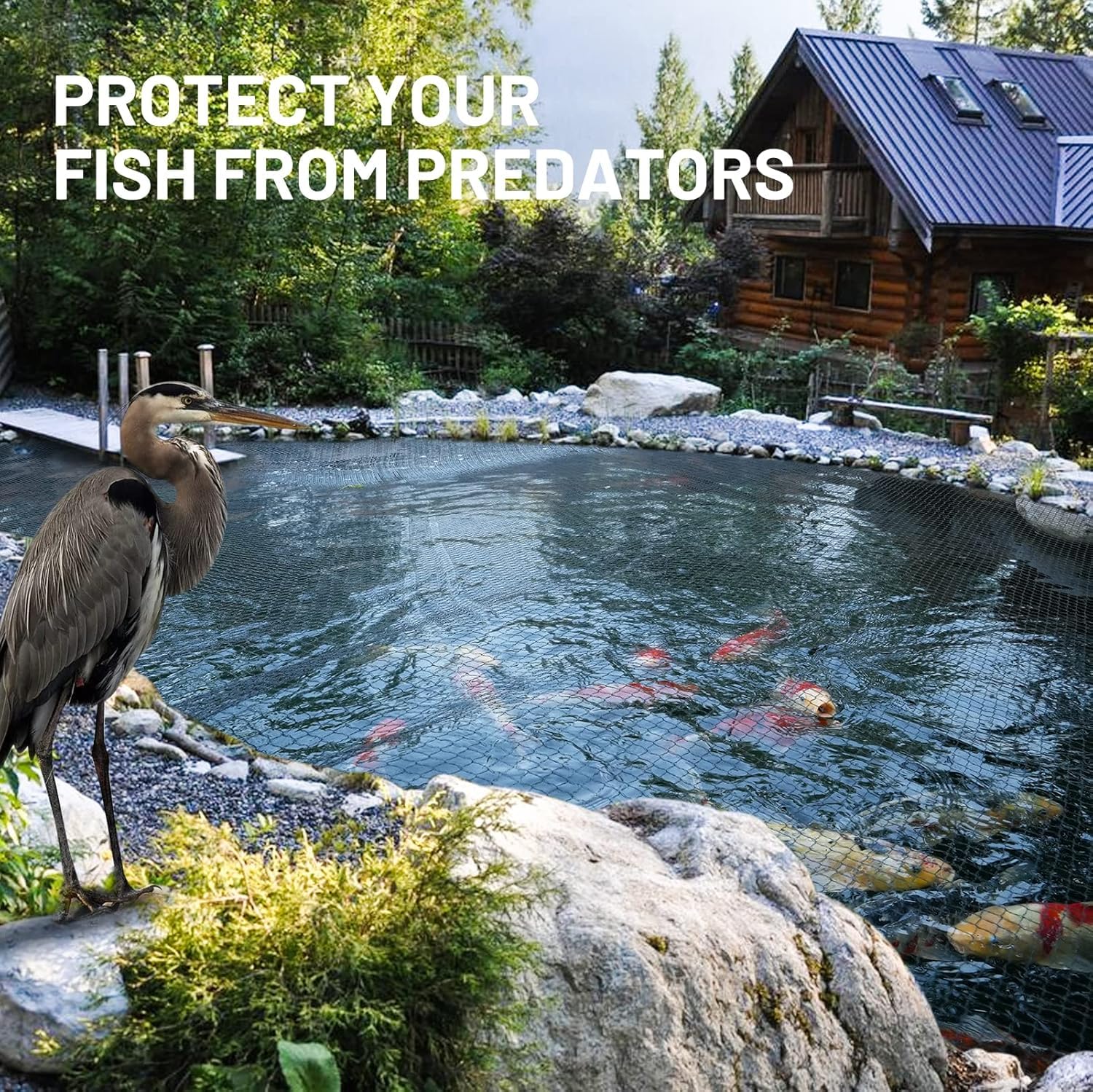 GasXpert predator deterrence: netting keeps herons, raccoons away from koi.