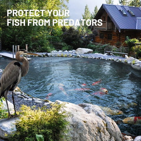 GasXpert predator deterrence: netting keeps herons, raccoons away from koi.