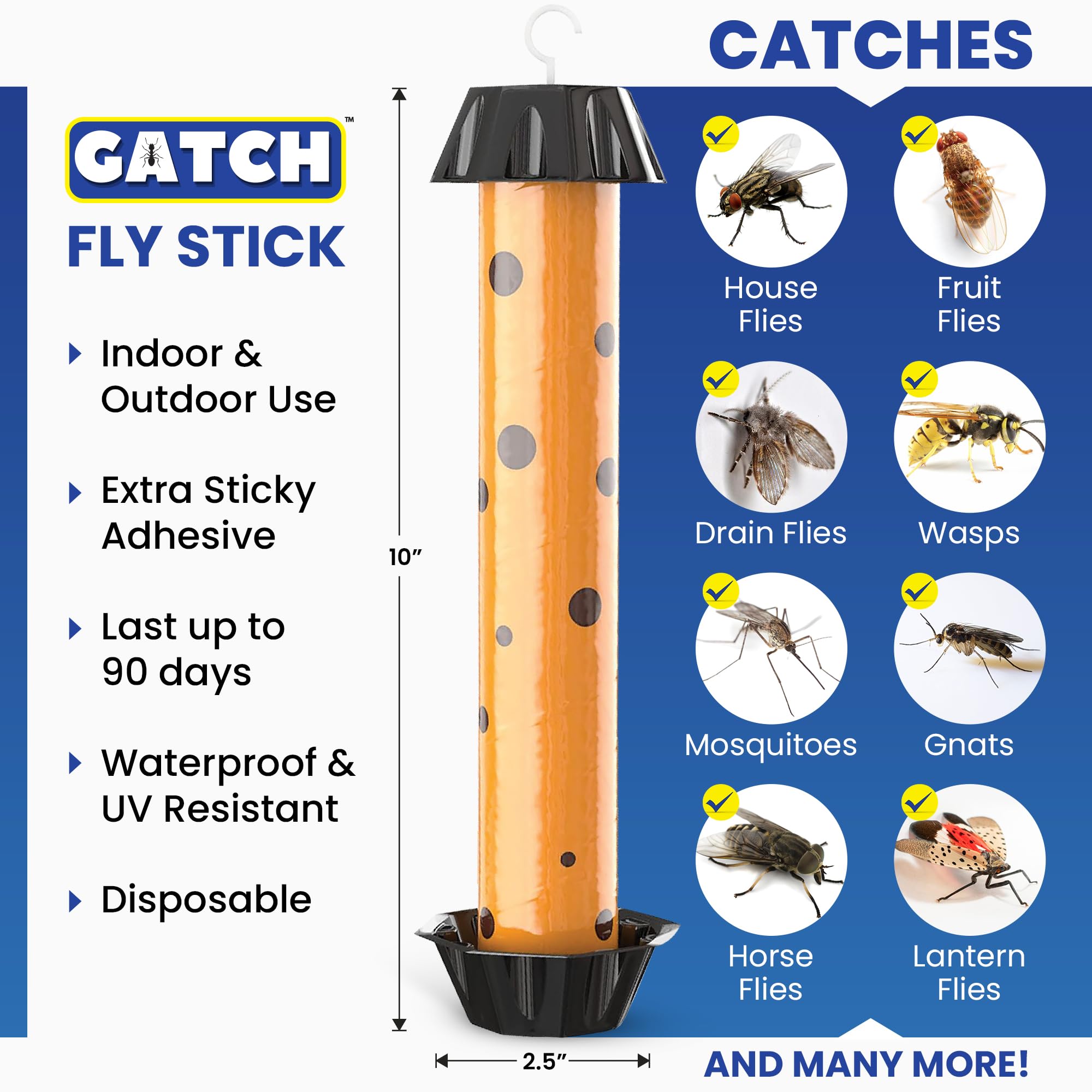 GATCH adhesive close-up showing strong grip on flying insects.