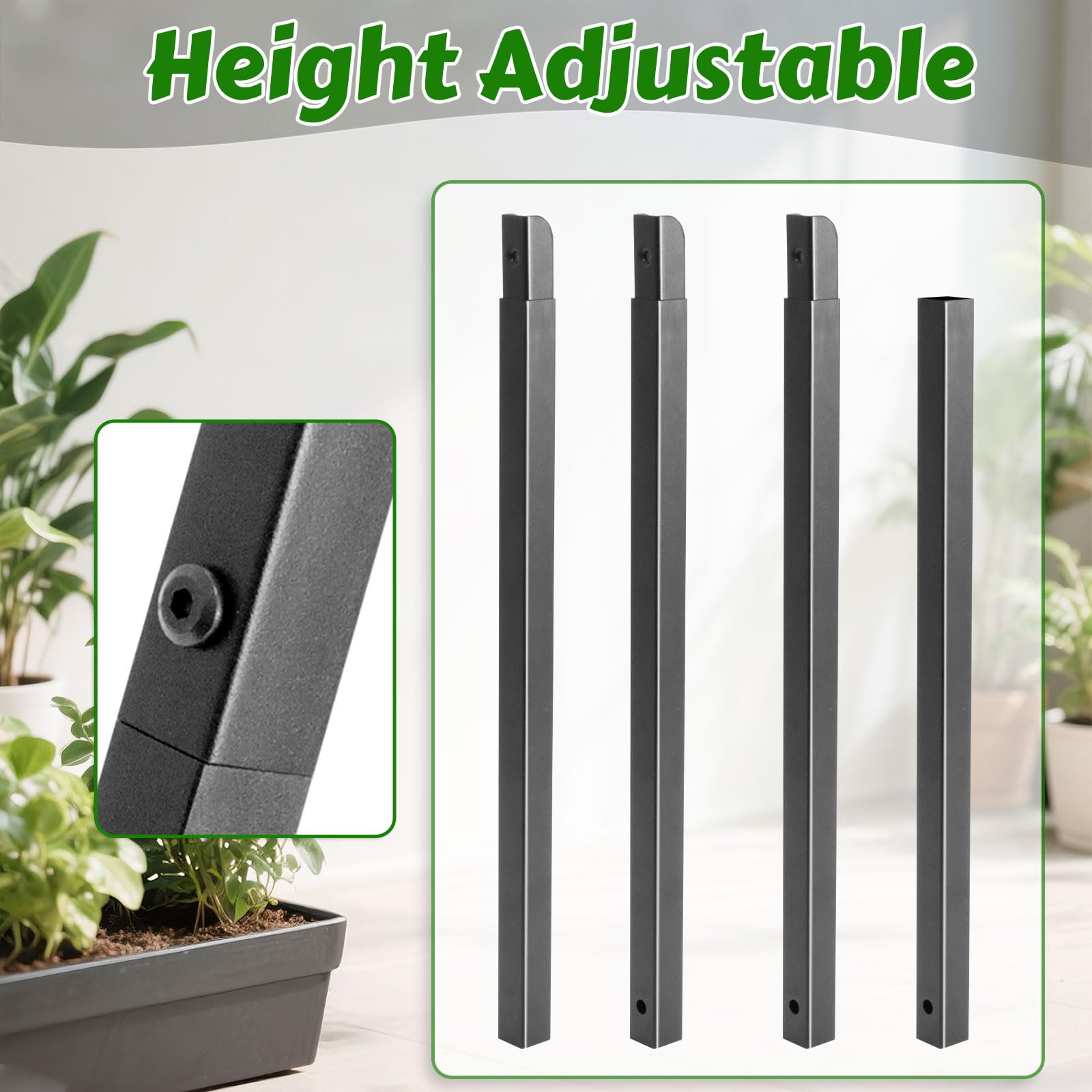 Gavinjitao dragon fruit trellis with black finish enhances outdoor aesthetics.