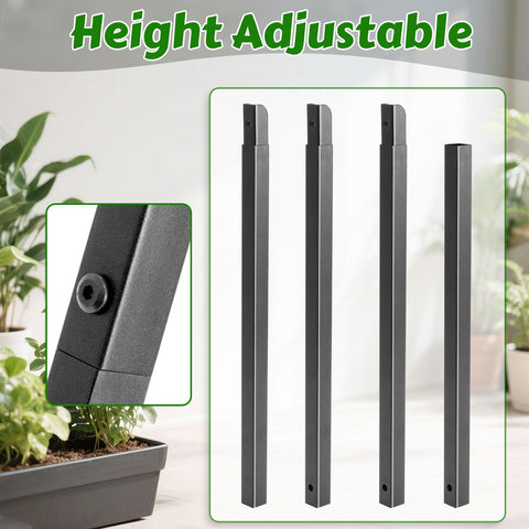 Gavinjitao dragon fruit trellis with black finish enhances outdoor aesthetics.