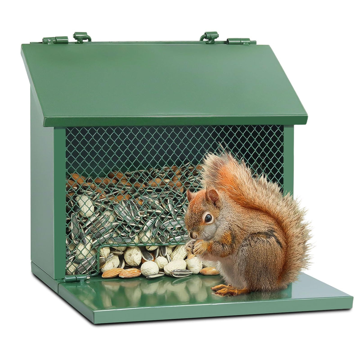 Gavinjitao metal squirrel feeder with front mesh for easy backyard viewing
