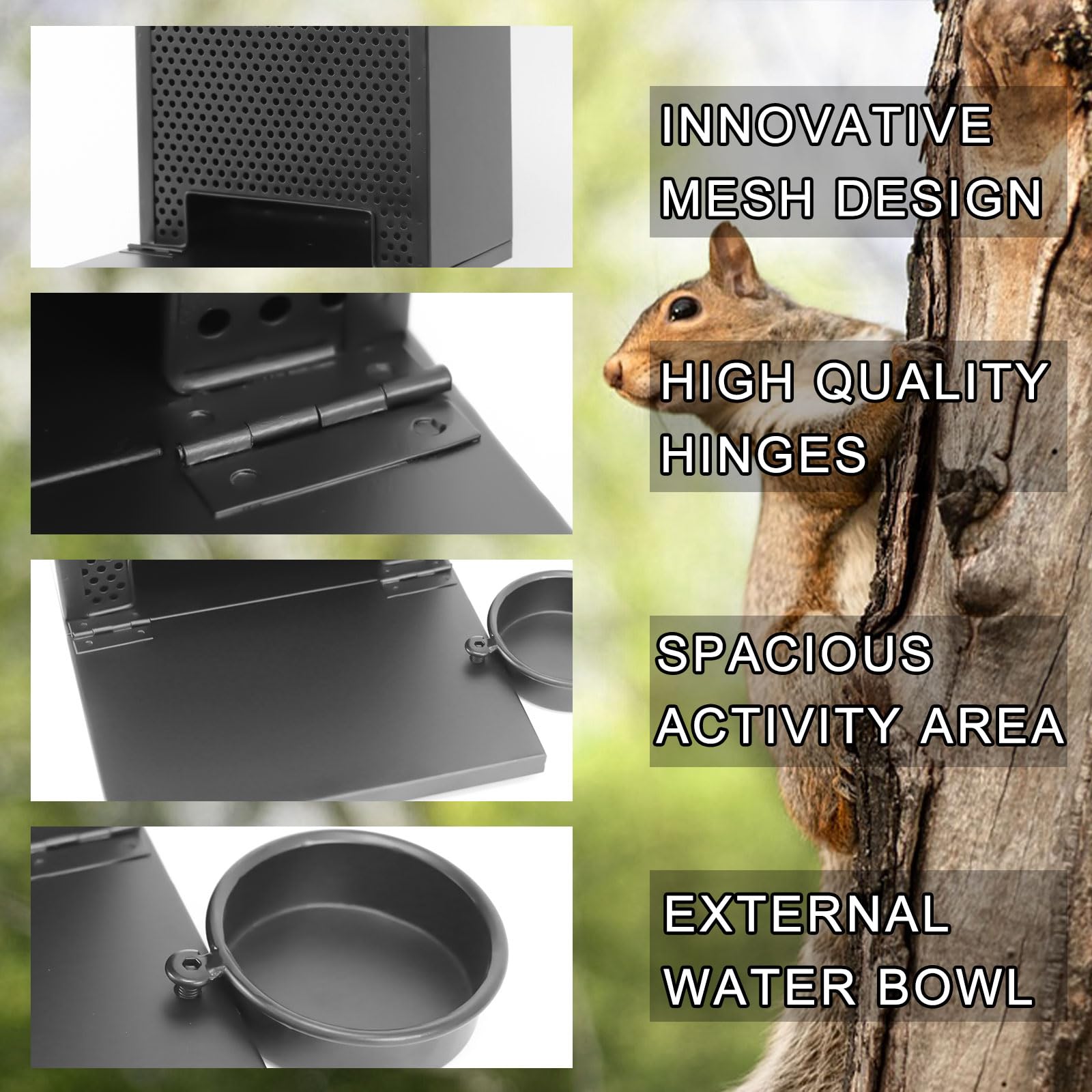 Gavinjitao Squirrel Feeder offers hanging or desktop placement for versatile use.