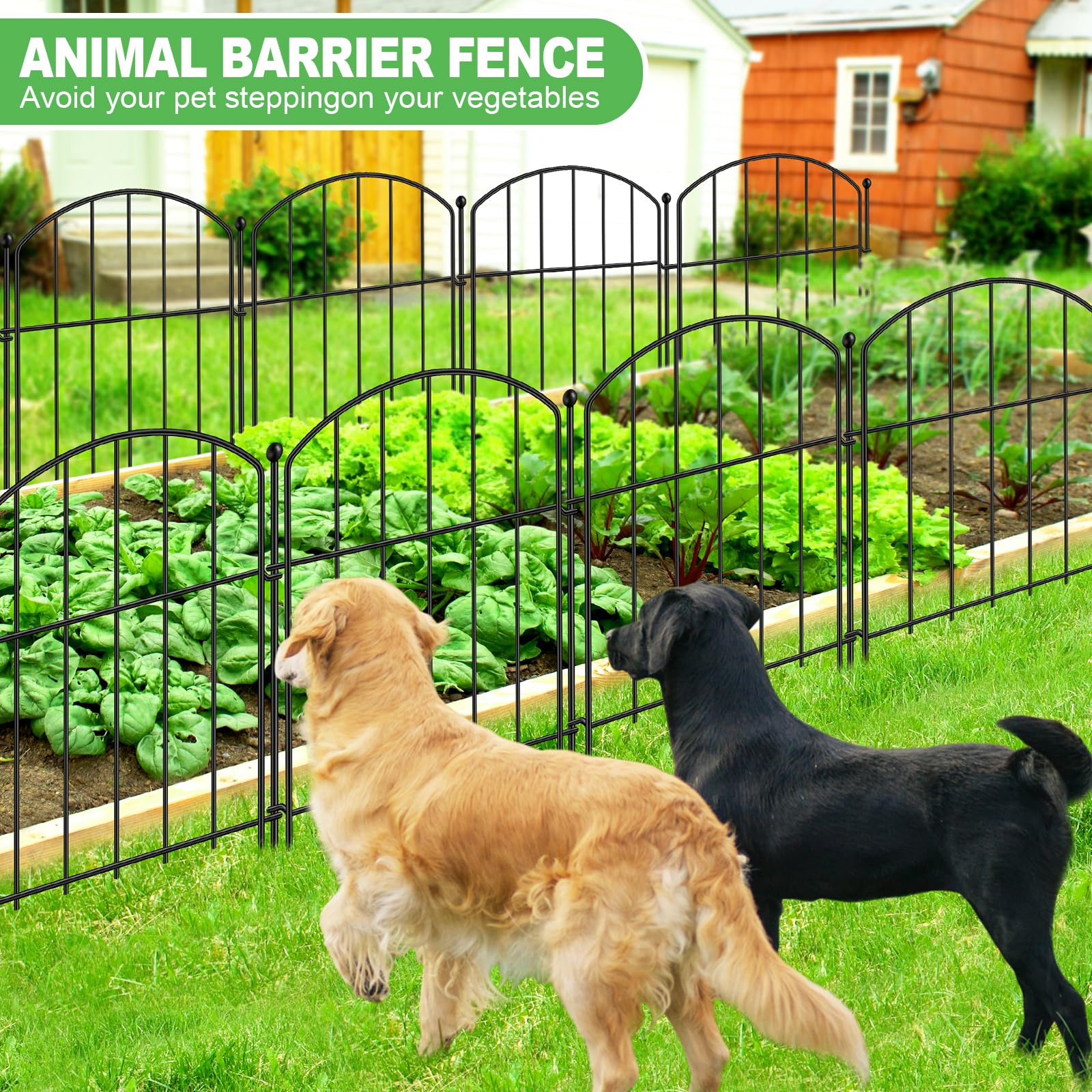 GAXI rustproof baked-on finish on decorative garden fence withstands weather.
