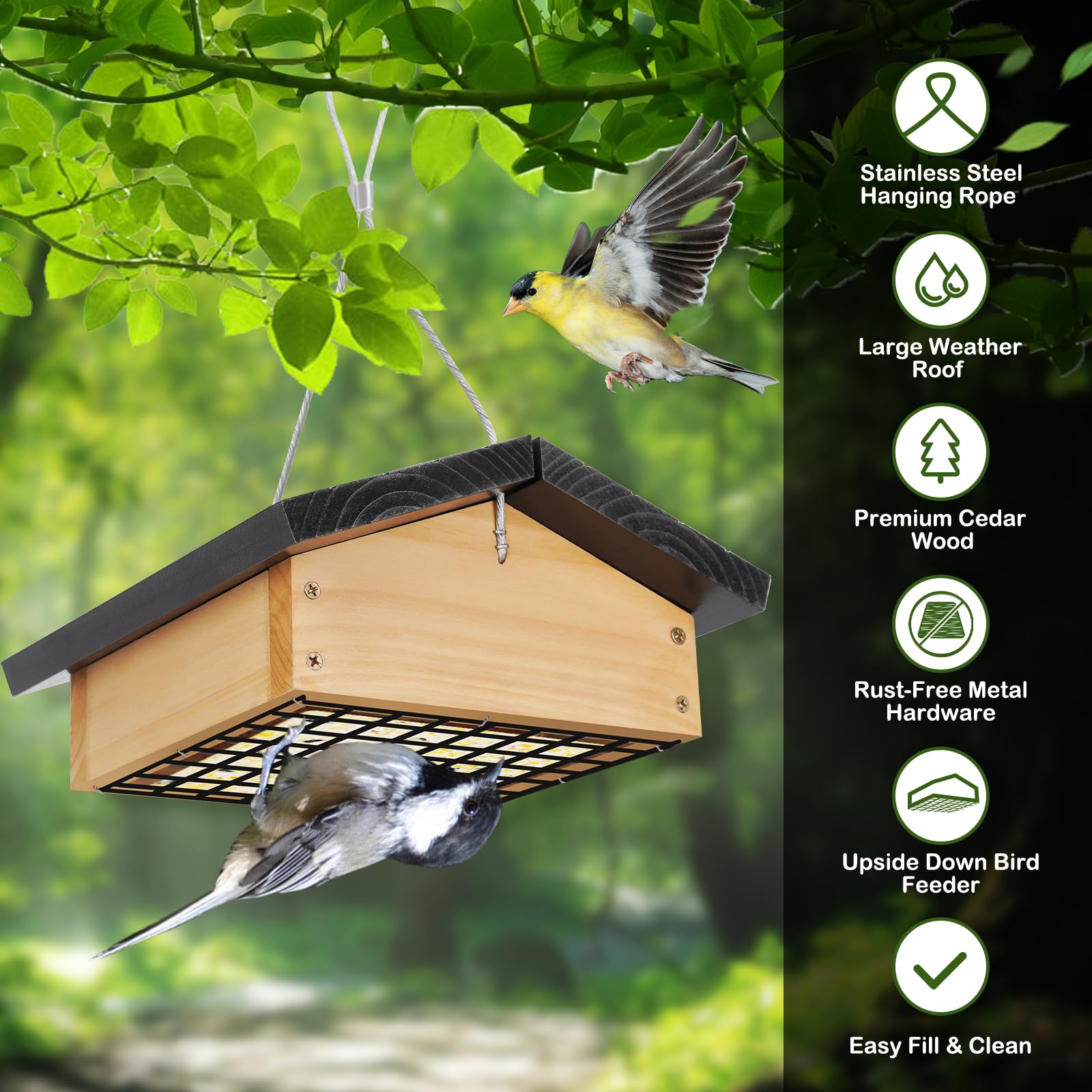Gbekery All-Season Weatherproof roof protects suet for year-round feeding.