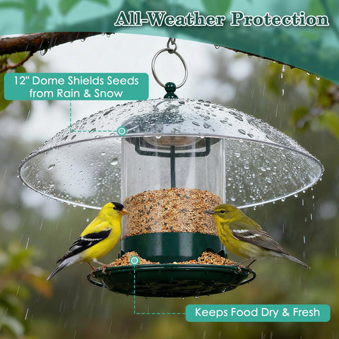 GBekery 360-degree tray feeds multiple birds at once through four ports