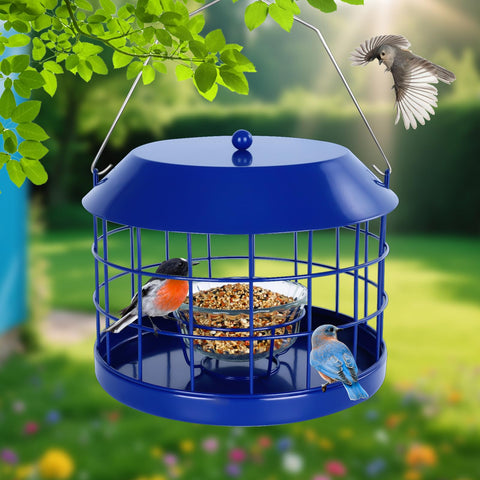 Gbekery bluebird garden gift feeder decorative and functional