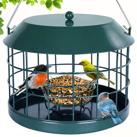 Gbekery Caged Bluebird Feeder front view highlights safe access for small birds