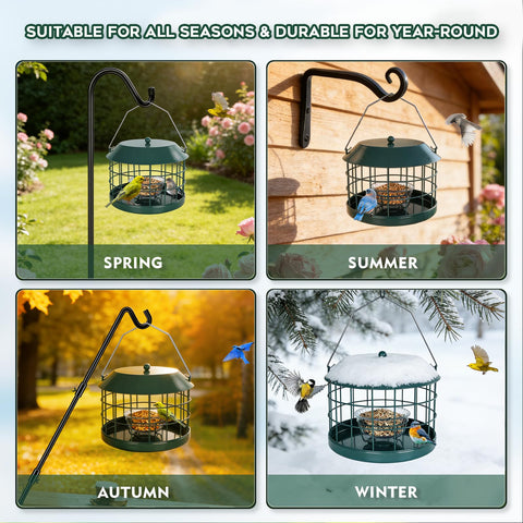 Gbekery Bluebird Feeder garden display invites nature watching