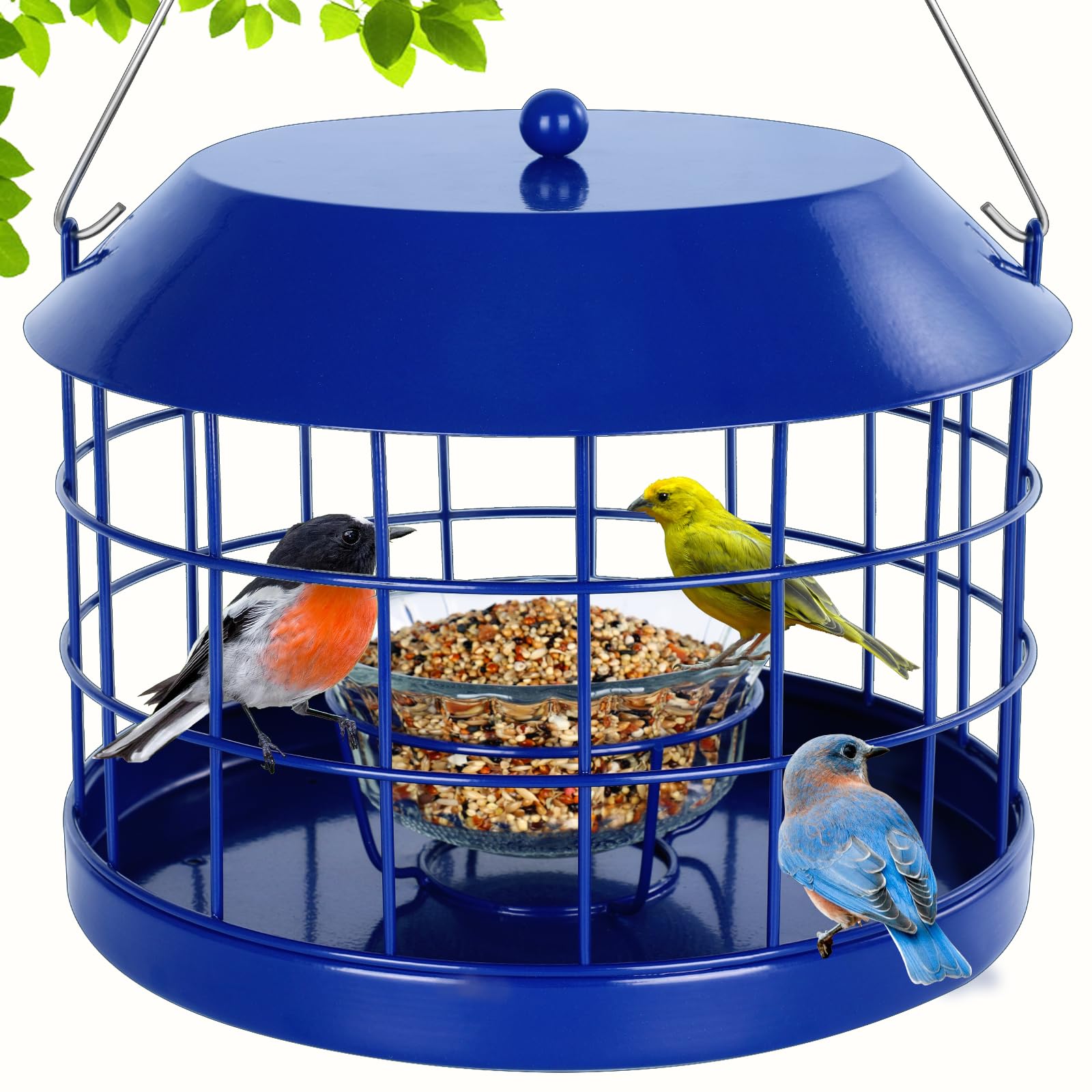 Gbekery caged bluebird feeder with mealworms and glass bowl for clean feeding