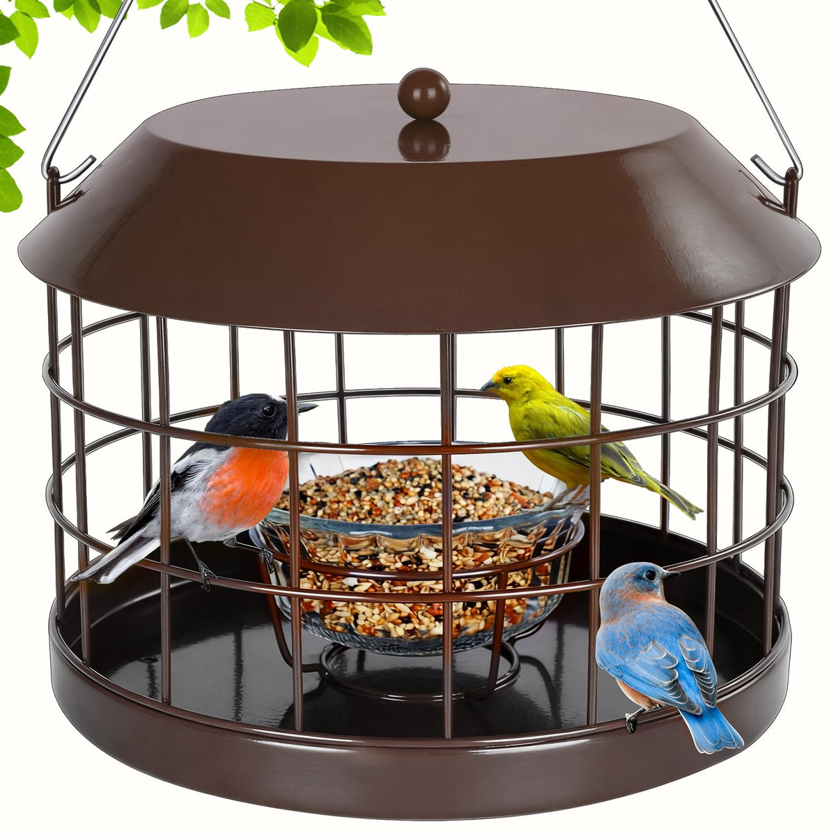 Gbekery caged bluebird feeder with mealworms and glass bowl in garden.