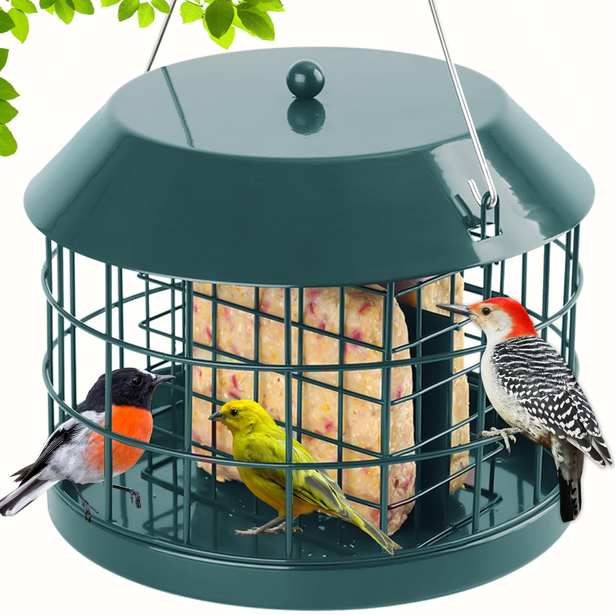 Gbekery caged suet bird feeder outdoors in green attracts small birds while keeping larger visitors away