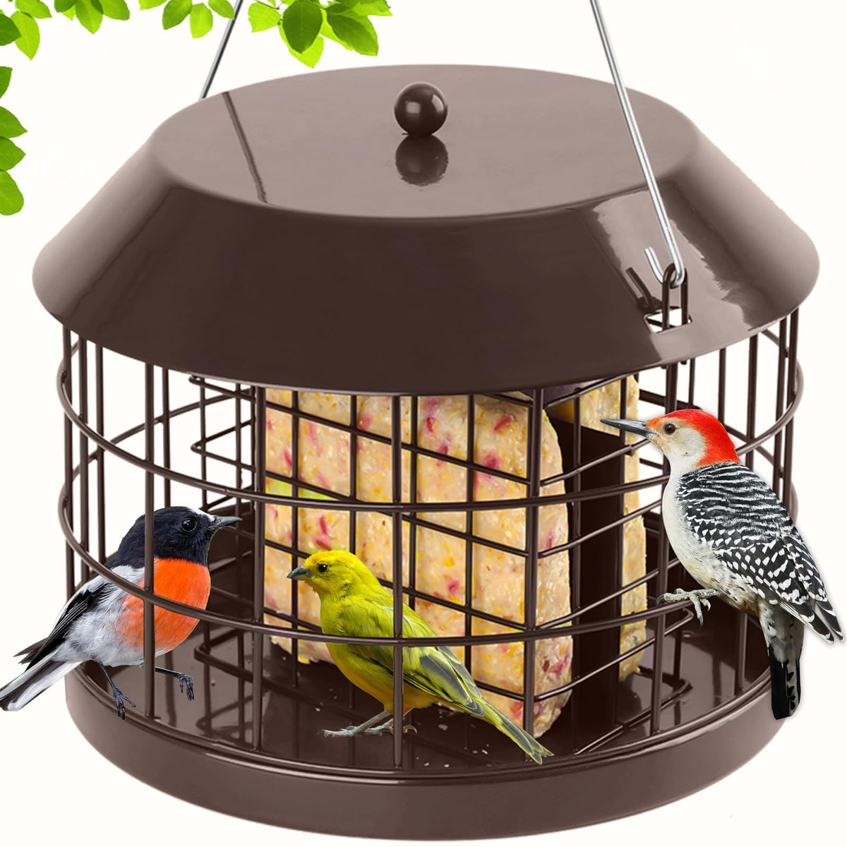 Gbekery caged suet feeder outdoors attracts small birds safely.