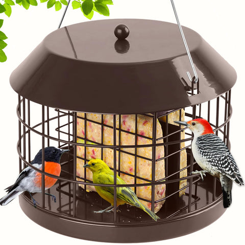 Gbekery caged suet feeder outdoors attracts small birds safely.