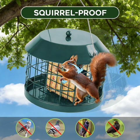 Gbekery double suet cages provide variety without crowding the feeding area