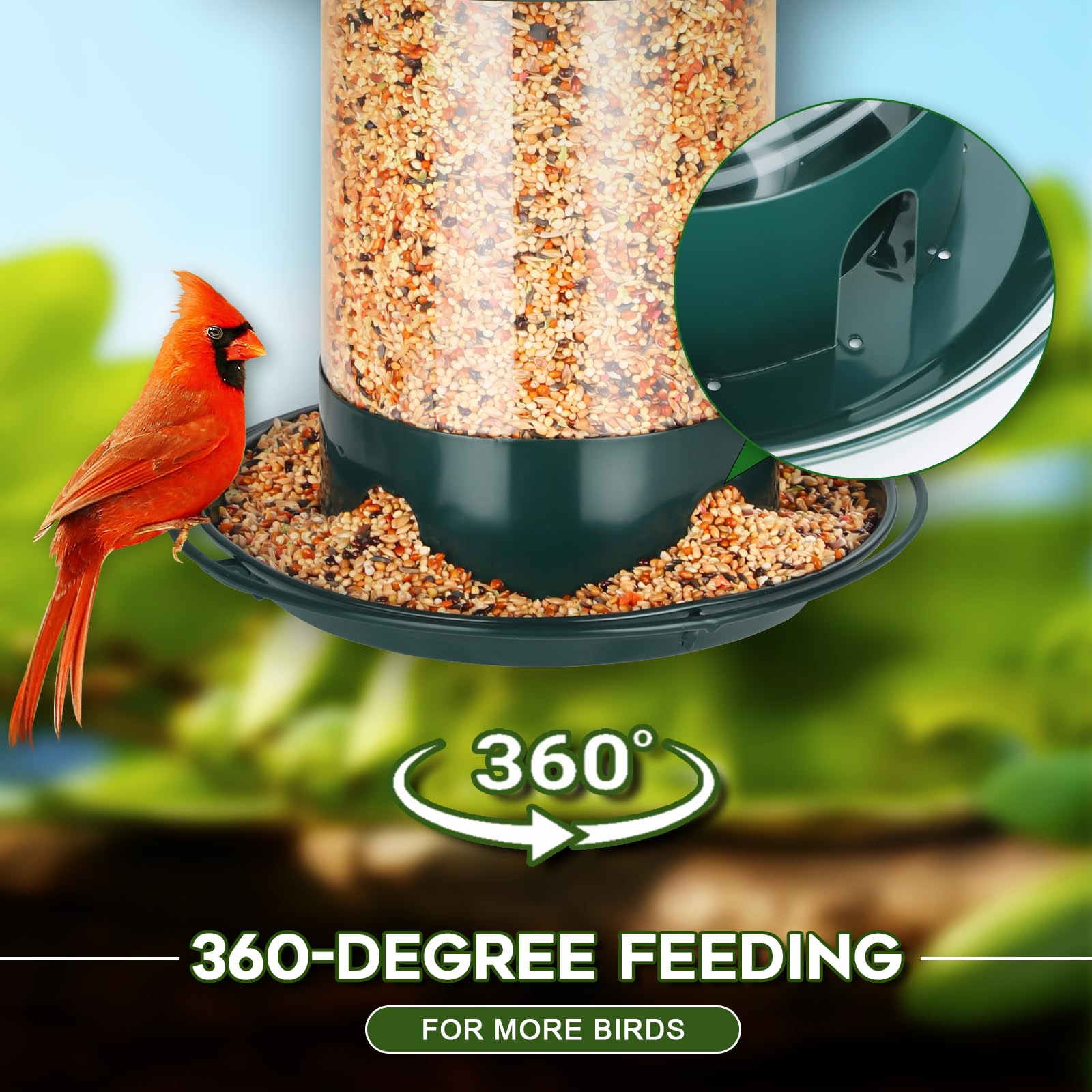 Gbekery drainage-holes prevent water buildup and keep seeds dry