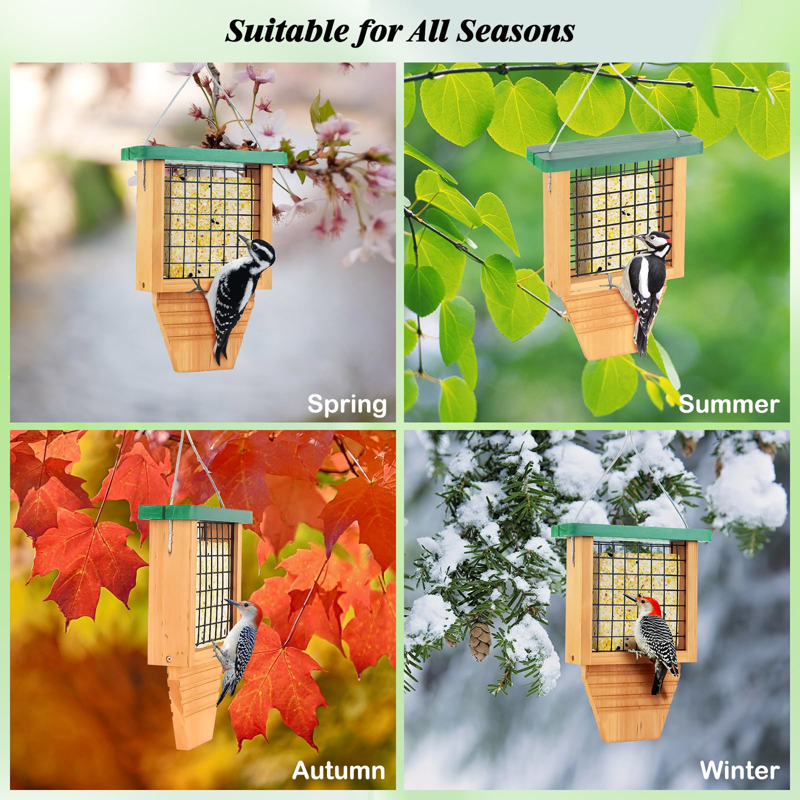 Gbekery cedar feeder features rust-resistant construction for year-long backyard use.