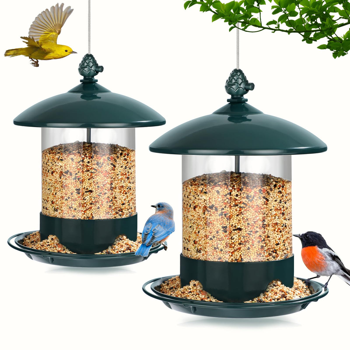 Gbekery metal bird feeder outdoors hanging, easy viewing for birds arriving