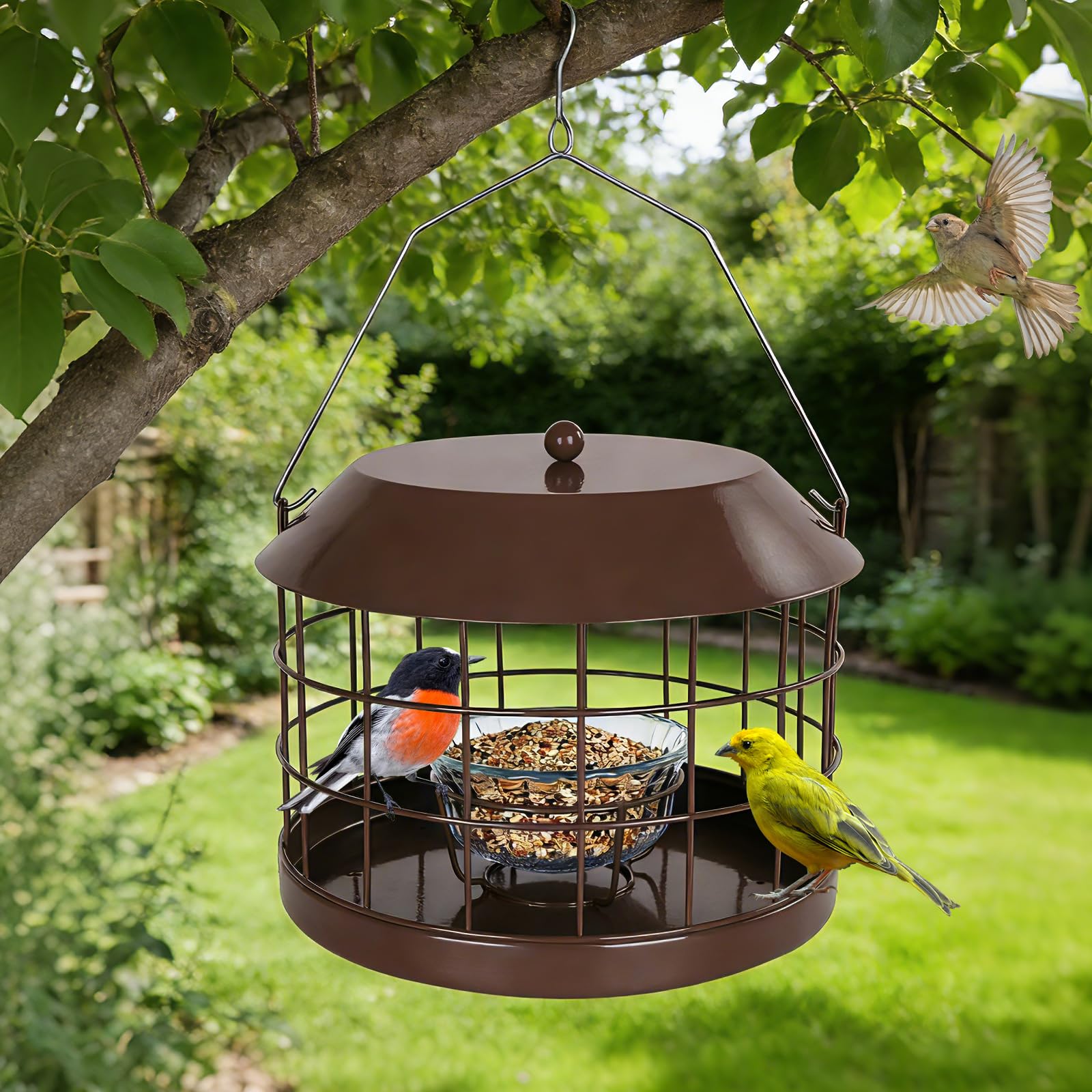 Gbekery small-bird feeder ideal for bluebirds and finches.