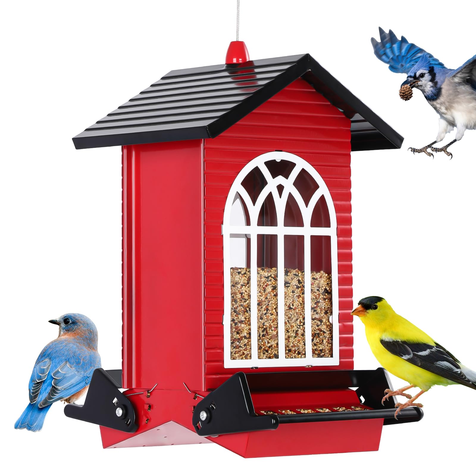 Gbekery Squirrel-Proof Feeder with bilateral perches deters squirrels and feeds backyard birds