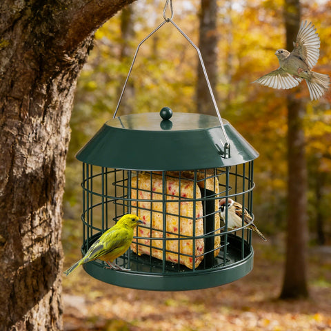Gbekery squirrel-proof metal cage feeder protects feed from thieves for small songbirds