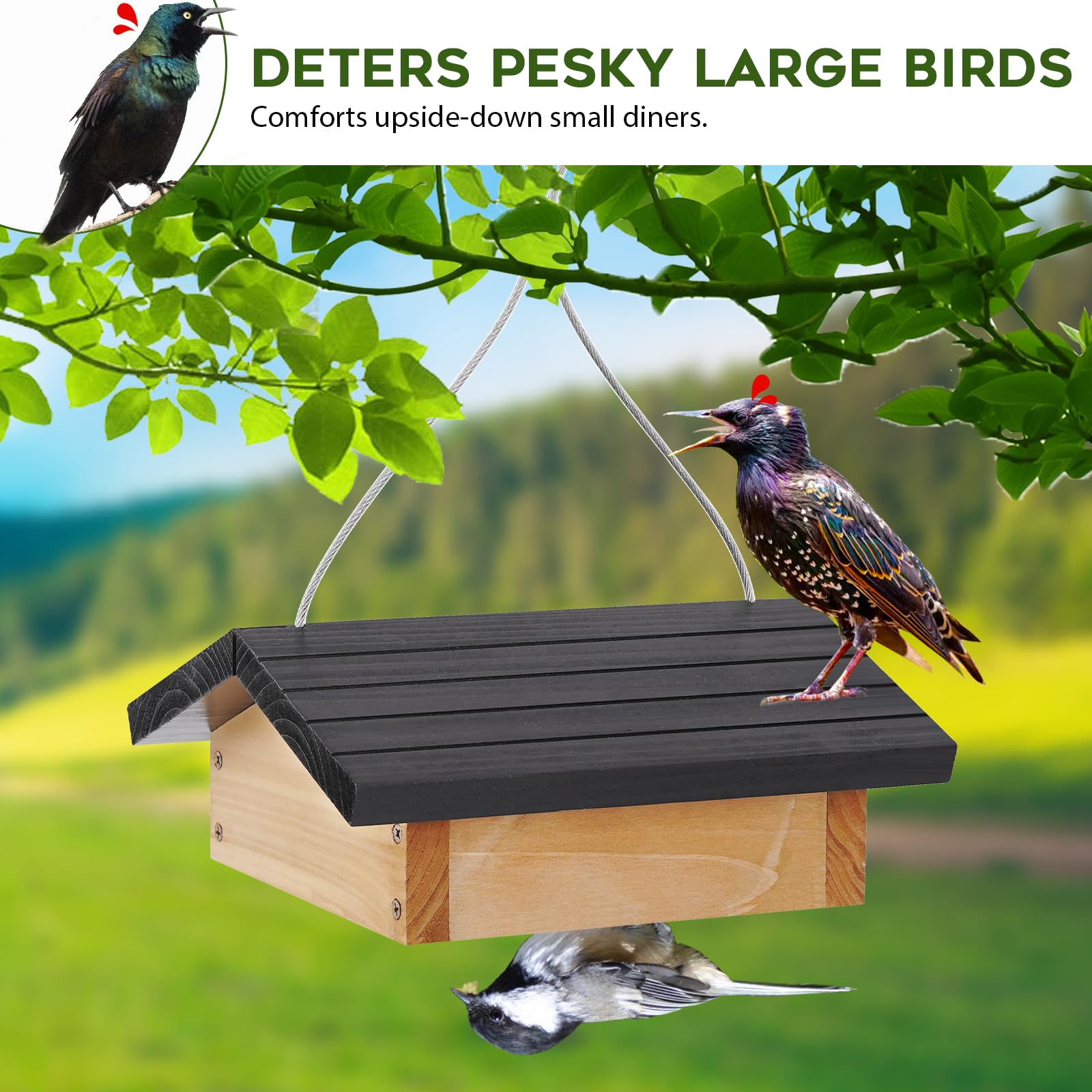 Gbekery Squirrel-Resistant Lid blocks access while preserving bird food.
