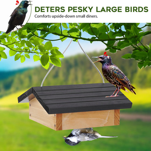 Gbekery Squirrel-Resistant Lid blocks access while preserving bird food.