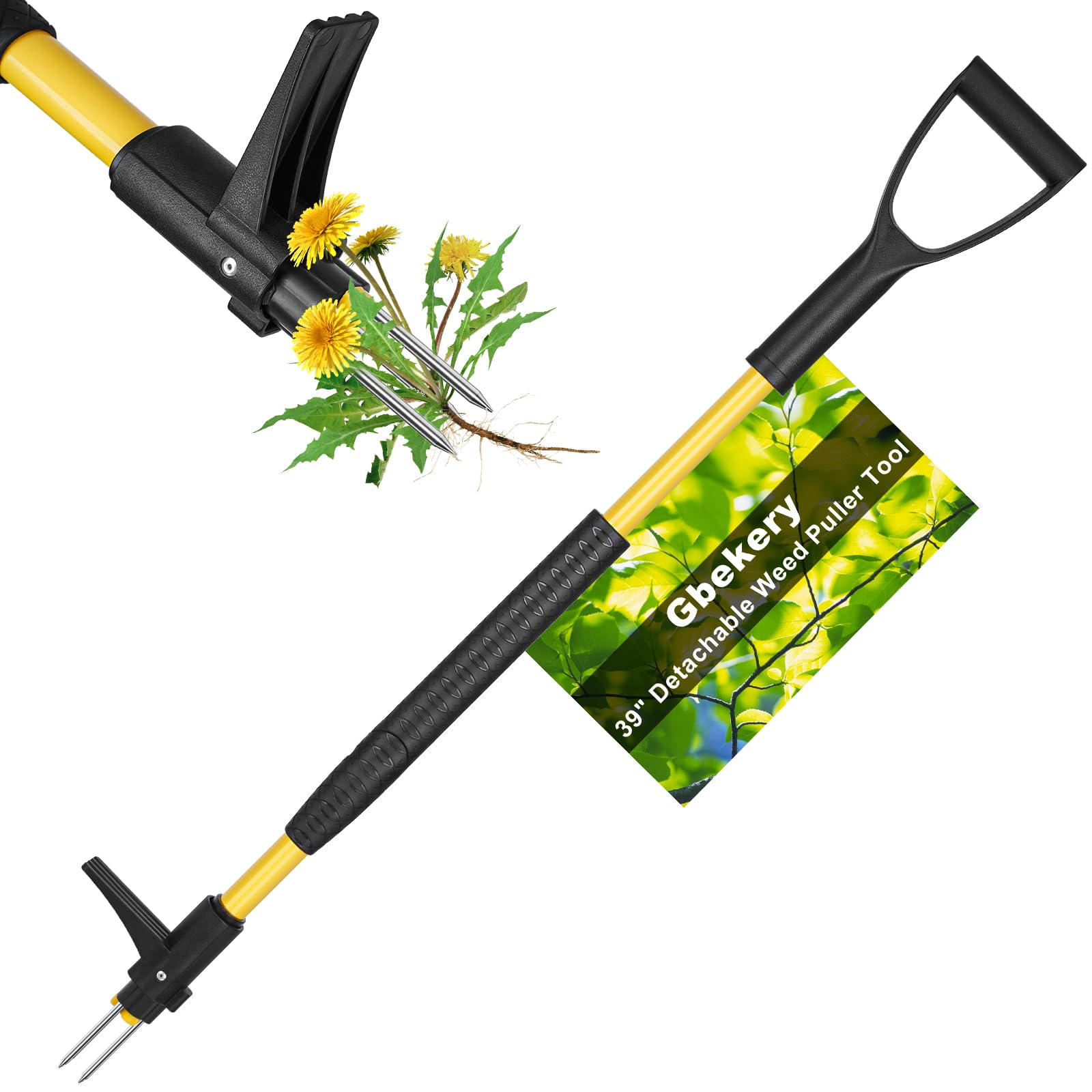 Gbekery stand up weed puller removing a dandelion with ease